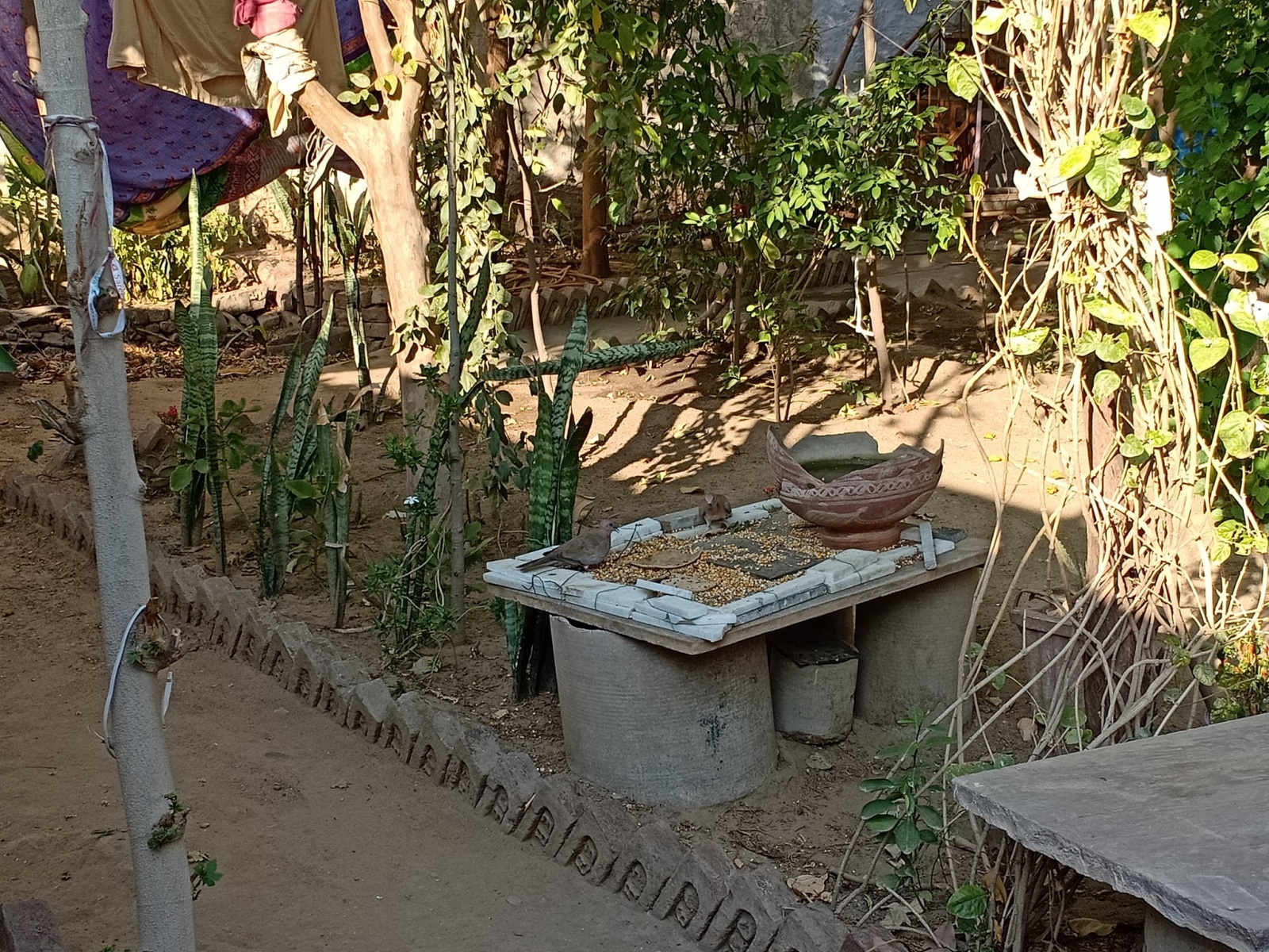 P1-84
