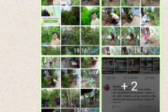 Screenshot_2018-07-15-13-49-53-82